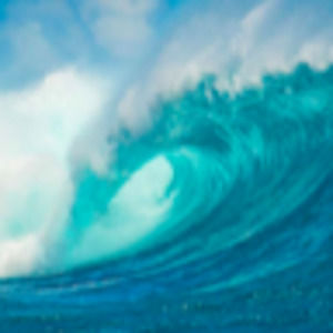 Meet your Posher, Isabella